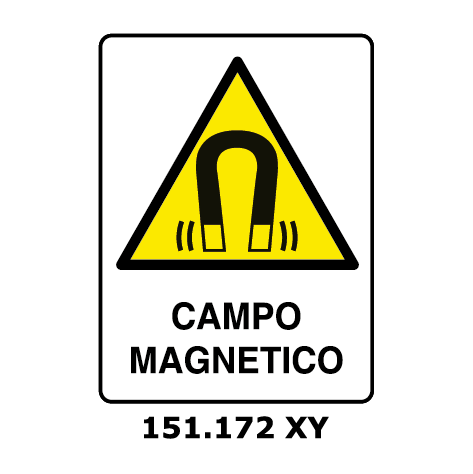 Targa CAMPO MAGNETICO